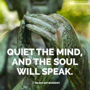 Quiet the mind and the soul will speak