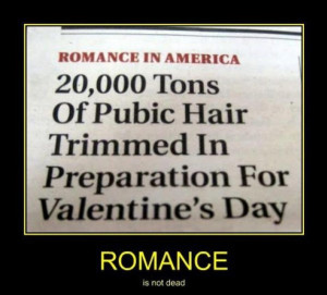 Hate Valentines Day Cover