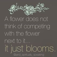 Flowers Do Not Compete, They Bloom More