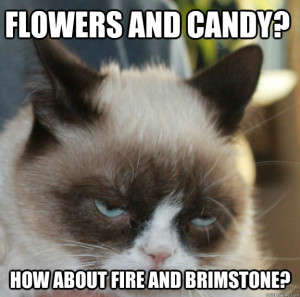 Grumpy Cat Celebrates Valentine’s Day! Not!