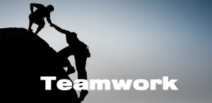 Teamwork Quotes