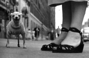 Elliott Erwitt: New York City, USA. 1946.