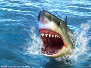 微笑的鲨鱼