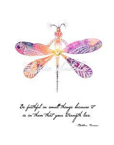 Dragonfly Quotes