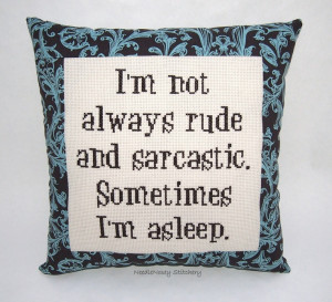 Funny Cross Stitch Pillow, Brown Pillow, Rude and Sarcastic Quote. $25 ...