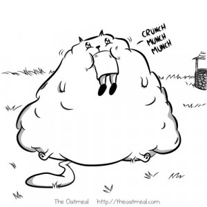 Found on theoatmeal.com