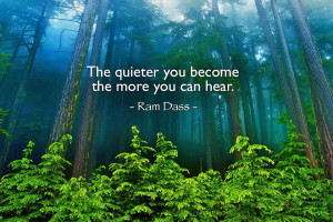 the-quieter-you become