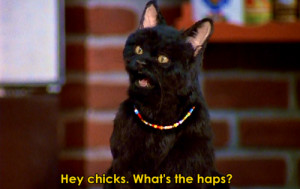 90s Sabrina the teenage witch salem