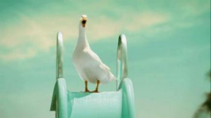 Aflac TV Spot For Aflac Supplemental Insurance