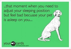 So me, but I love my dog!