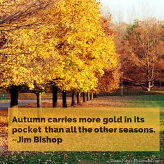 Quotes about autumn - 'Autumn carries more gold in its pocket than all ...