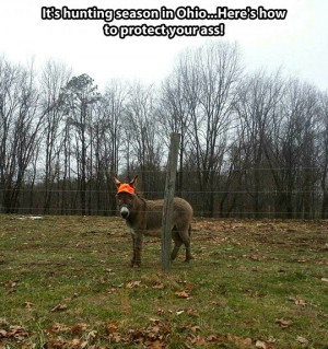 funny-picture-hunting-season-donkey-hat