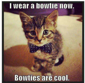 Kitten With A Bow Tie Bowtie kitten