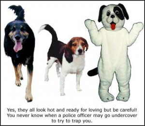 Re: Beat: Friend thinks i'm into beastality