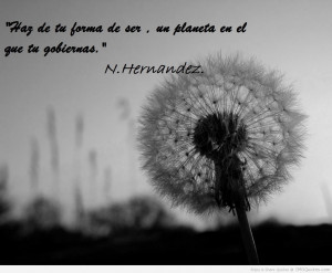 Spanish Quotes HD Wallpaper 12