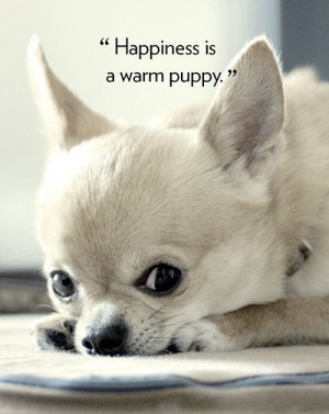 Dog Quotes of the Week (7/28/14 – 8/1/14)