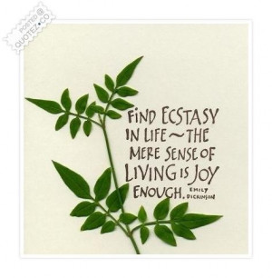 Find ecstasy in life quote