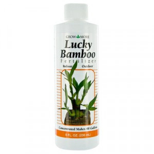 Lucky Bamboo Fertilizer
