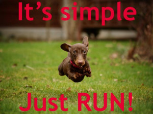 By The WH Team 04 June 2014 Next article