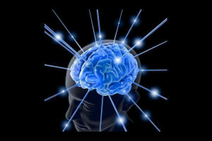 Neuropsychology Picture Slideshow