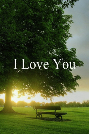 Quotes HD Wallpapers