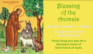 blessing ofthe animals quot