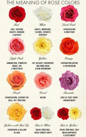 what different color roses mean