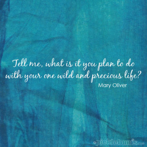 What will you do with your one wild and precious life?