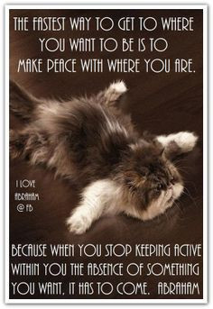 ... of something you want, it has to come. *Abraham-Hicks Quotes (AHQ2016