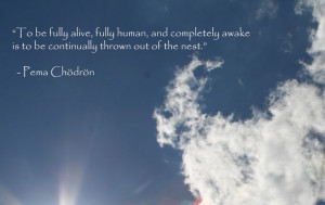 pema+chodron+quotes | Quote by Pema Chodron | Quotes