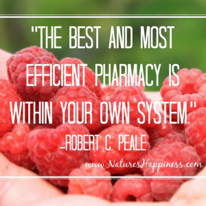 The best and mot efficient pharmacy is within your own self.