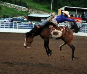 horseback riding insurance