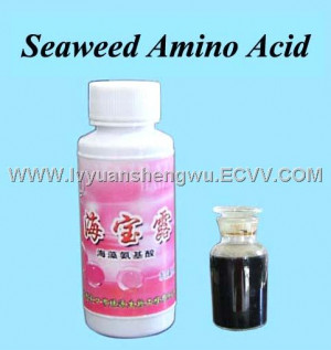 ... Products Catalog gt Seaweed Extract Fertilizer gt Seaweed Amino Acid