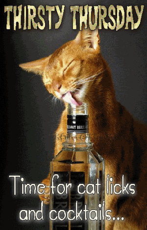 , Thirsty Thursday, Weeks Quotes, Cat Drinks, Awesome Funny, Thursday ...