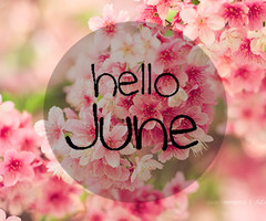 Tagged with bye bye may hello june