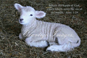 Behold the Lamb of God quote