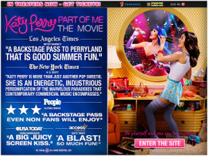 ... concert film centering on singer katy perry this film tells