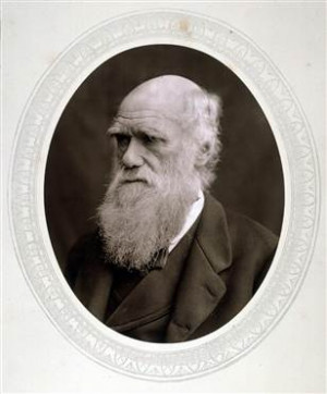 Charles Darwin was crazy about dinosaurs