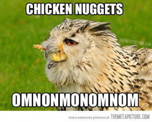 Funny photos funny hawk eating chicken