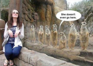 funny zoo pictures