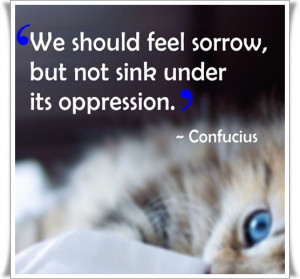 Confucius-quotes.jpg
