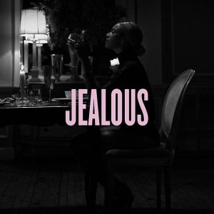 Beyoncé 'Jealous' Phone Case Also Do Samsung S3 - 4 Cases