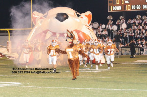 Alice Coyotes High School Texas