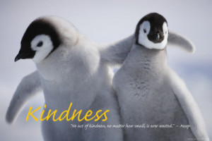 42 17836203 36 24kindness posters