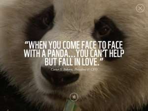 or endangered animals featured in WWF Together an app from the World