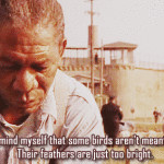 ... quotes the shawshank redemption quotes the shawshank redemption quotes
