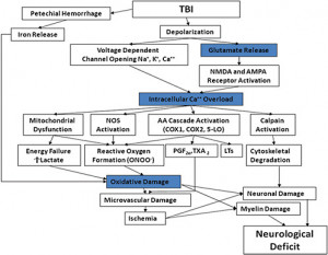 the results traumatic brain injury vary widely type and duration