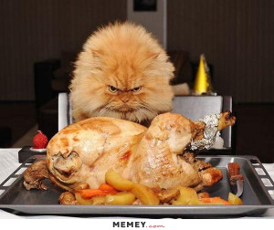 Cat With A Roast Turkey