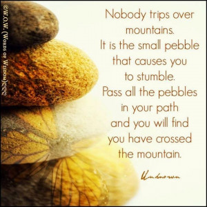NOBODY TRIPS OVER MOUNTAINS. IT IS THE SMALL PEBBLE THAT CAUSES YOU TO ...
