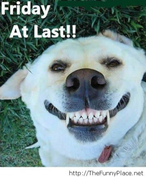 ... today funny picture - Funny Pictures, Awesome Pictures, Funny Images a